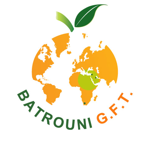 logo SAFE